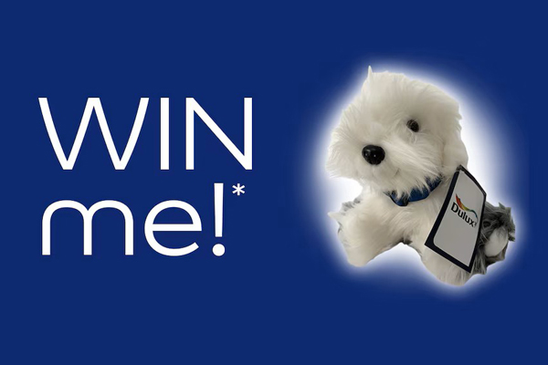 Win a Dulux Dog Toy