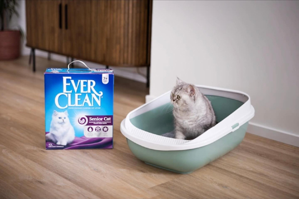 Free Ever Clean Cat Litter