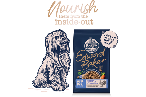 Free Bakers Dog Food